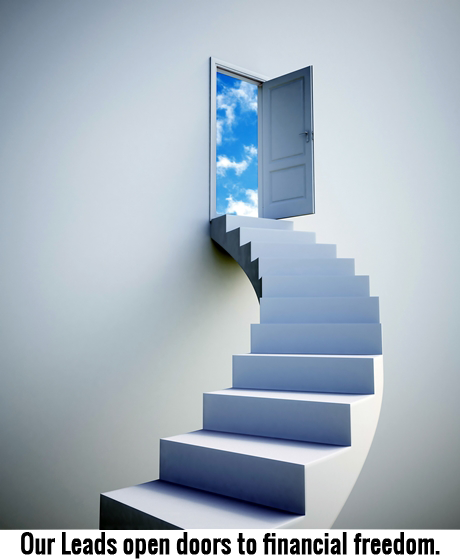 Purchasing sales leads